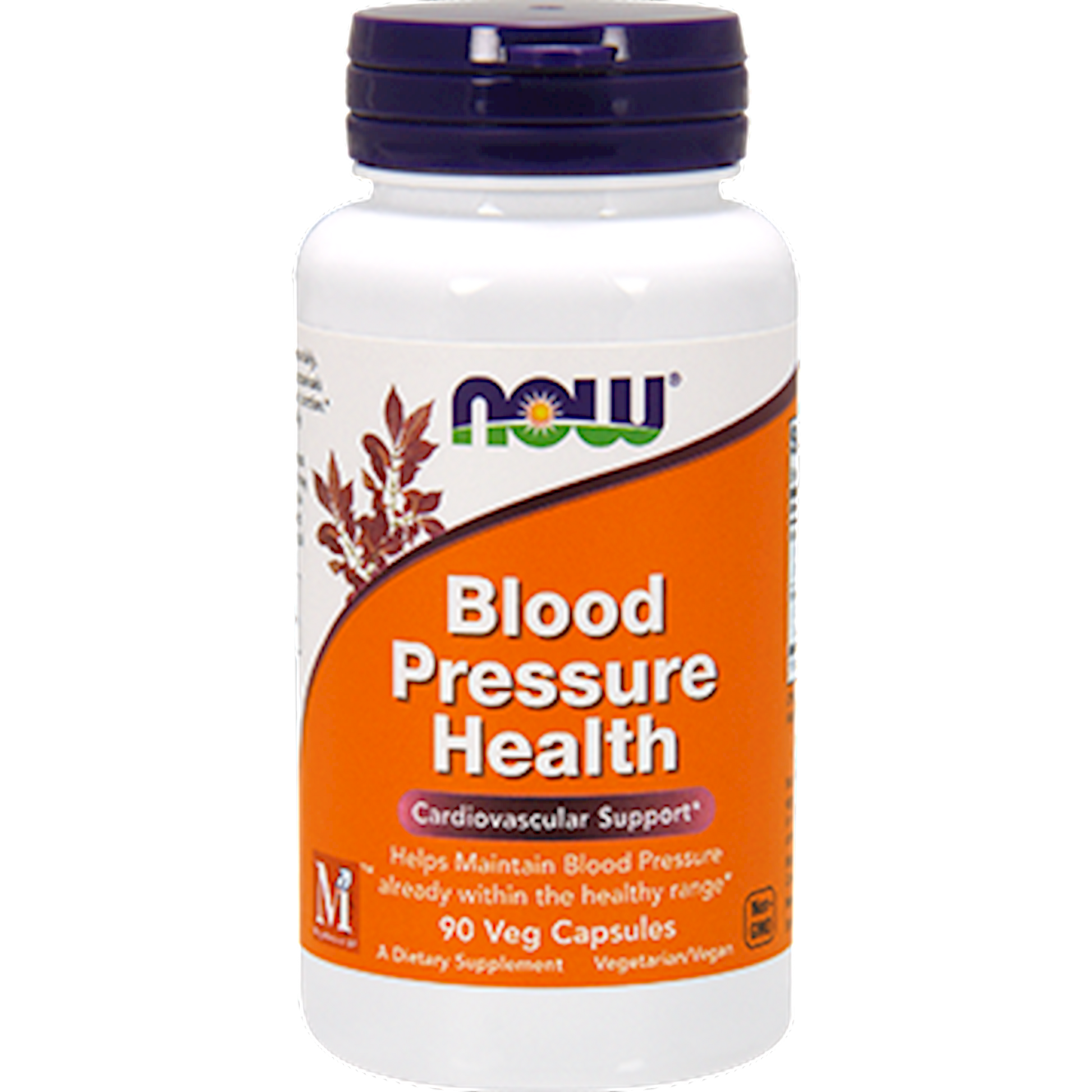 Blood Pressure Health