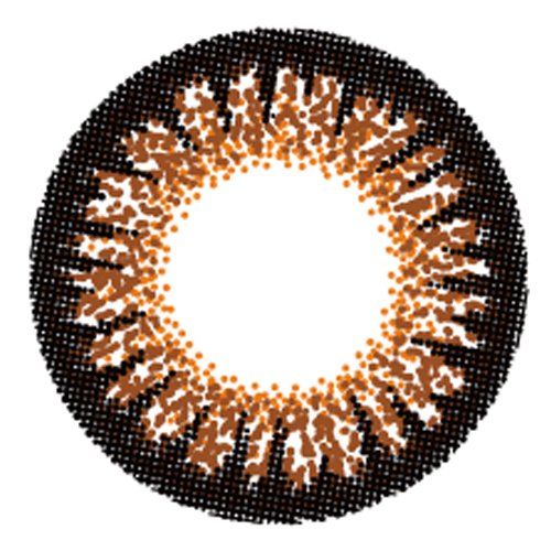 Angel Color One Day Bambi Series 10 Pcs/Box 14.2Mm -8.50 Chocolat Japan